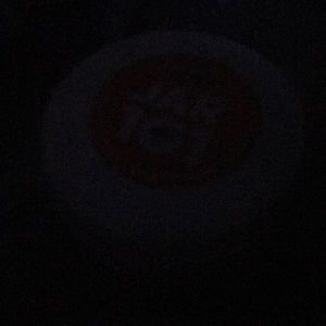 Meet your Posher, Dan